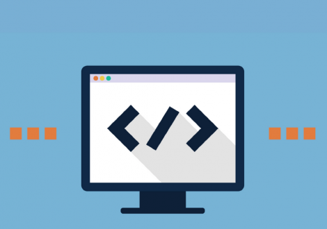 software developer