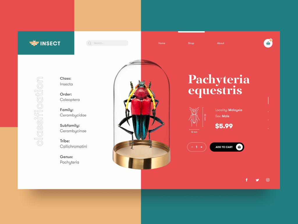 thiết kế website chuyên nghiệp CO-WELL Asia